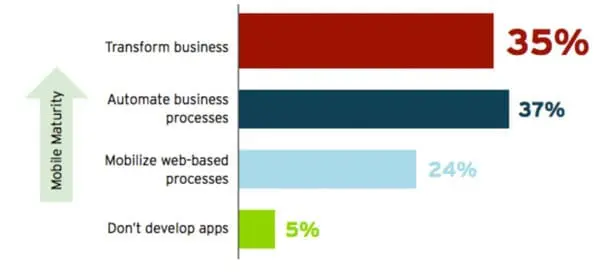 mobile maturity