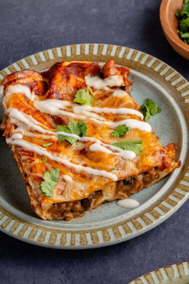 vegan enchiladas topped with sour cream and cilantro on a plate