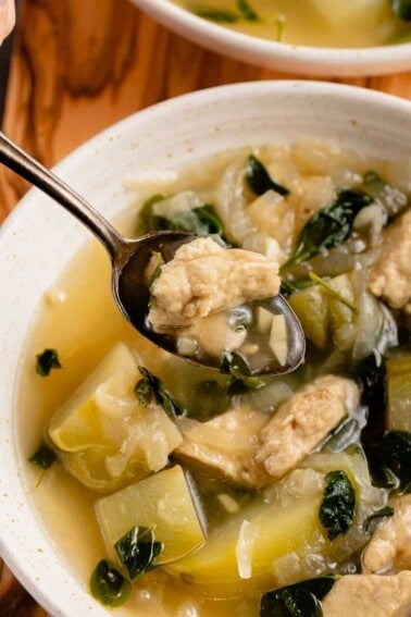 spoonful of vegan tinolang manok