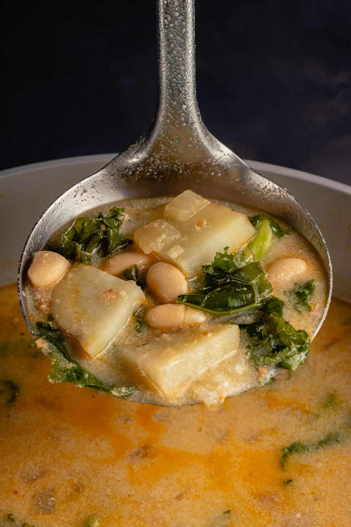 ladle full of soup in a pot